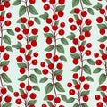 Vector seamless pattern with vertical cranberry twigs. Royalty Free Stock Photo